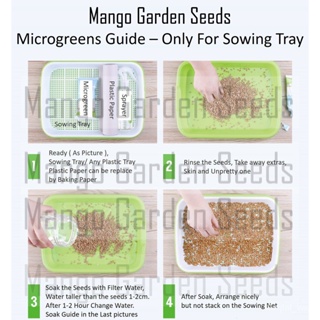 Healthy 小麦草 Food1gMicrogreens*seeds - Sprouting  Sprout  Microgreen- ,Wheatgrass*,Seeds   Q1KK #6