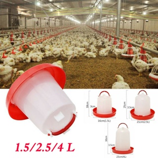 ✾☬▤【Fast Delivery】1L Chicken Drinker & Feeder Automatic Thicken Poultry Drinker & Feeder Rooster Hen