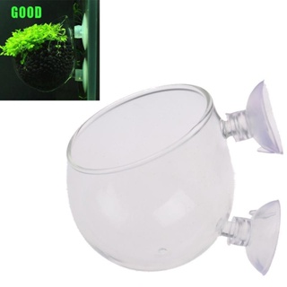 【Hot sale】{Pet}Fish Tank Mini Crystal Glass Pot Water Potted Aquatic Planting Cylinder Cup