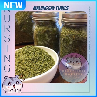 malunggay powder ➳HLHE Malunggay Flakes & Malunggay Powder Trial pack✿