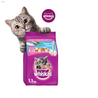 Vouchers & Services  WHISKAS Junior Dry Kitten Food Ocean Fish Flavor with Milk, 1.1kg. Pet Food for