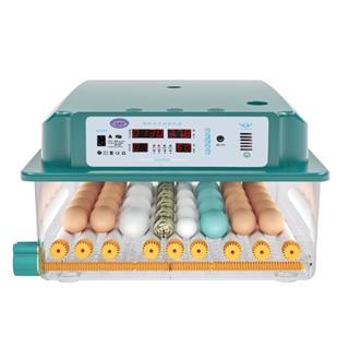 Eggs Incubator Brooder Bird Quail Chick Hatchery Poultry Turner Automatic Farm Incubation Toolsdasch