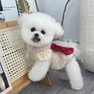 Champagne Dog Clothes Black Dog Dress for Shih Tzu Birthday 1st Pet Princess New Year Wedding Costume with Big Red Bowknot Christmas Outfit #2