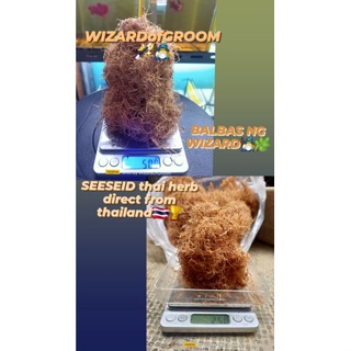 Balbas ni Wizard SEESEID for grooming ornamental betta fish and conditioner.