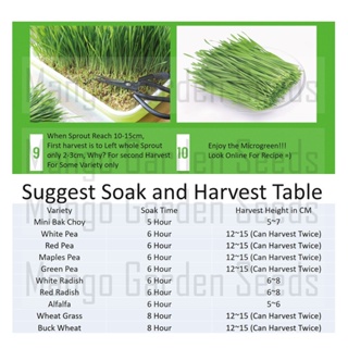Healthy 小麦草 Food1gMicrogreens*seeds - Sprouting  Sprout  Microgreen- ,Wheatgrass*,Seeds   Q1KK #2