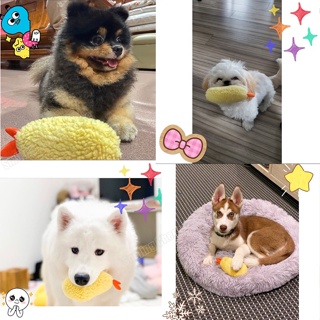 In stockfree shipping◊Japanese Fried Shrimp Tempura Dog Pet Chew Bite Squeaky Toy Cute Stuffed For #3