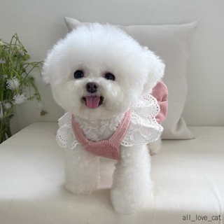 Pet Clothes Cat Dog Autumn Winter New Style Corduroy Pumpkin Skirt Traction Button Teddy Bichon Warm Lace Clothing