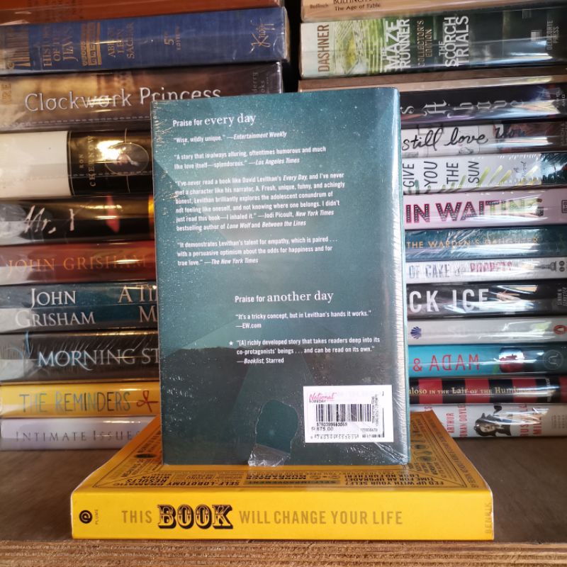 Someday By David Levithan (hard cover)
