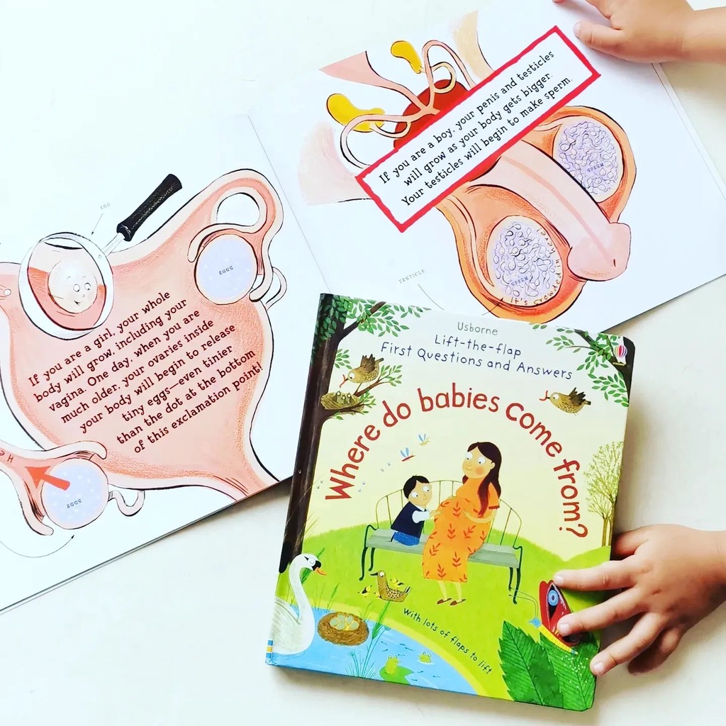 Usborne Where Do Babies Come From (LifttheFlap First Questions