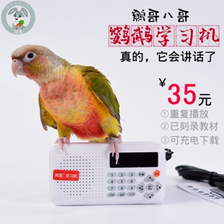 Parrot learning machine with memory card bird with repeater starling recorder myna teach speech lear