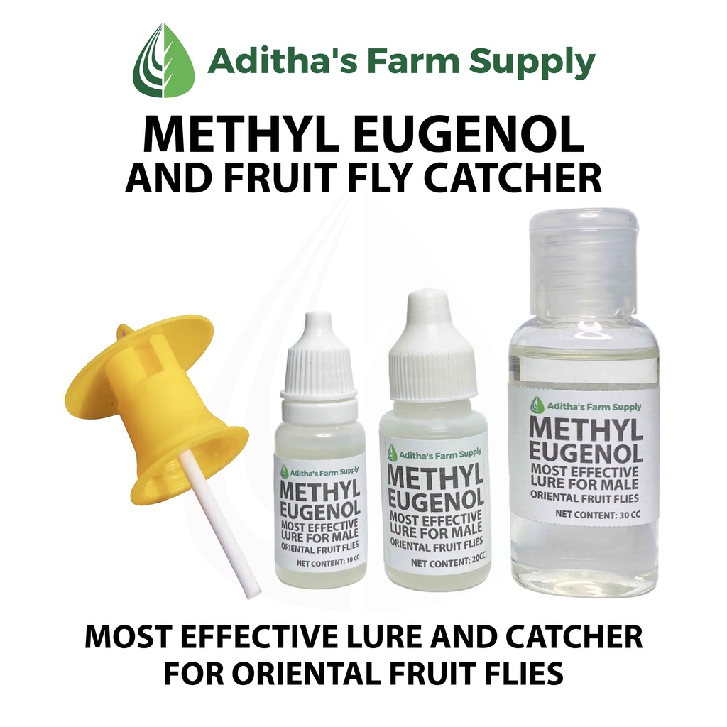 Methyl Eugenol and Fruit Fly Catcher (Most Effective Lure for Male