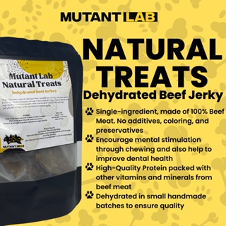 PREMIUM dehydrated Beef Jerky (Mutant Lab Pet Treat High Quality) 100% safe for dogs and cats