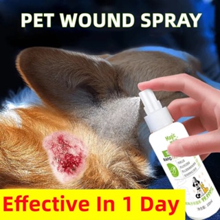 WUTUNS Wound spray for dogs cats Heal fresh wounds, Dry wounds, Fungal infection wounds