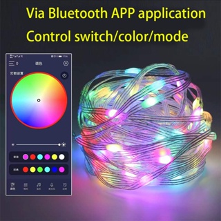 CHK Color changing fairy tale string lights - 5/10m 100 LED USB leather cord lights APP Bluetooth control / with remote control and timer starry fairy tale lights for bedroom party wedding craft tree indoor decoration 16 colors adapter included