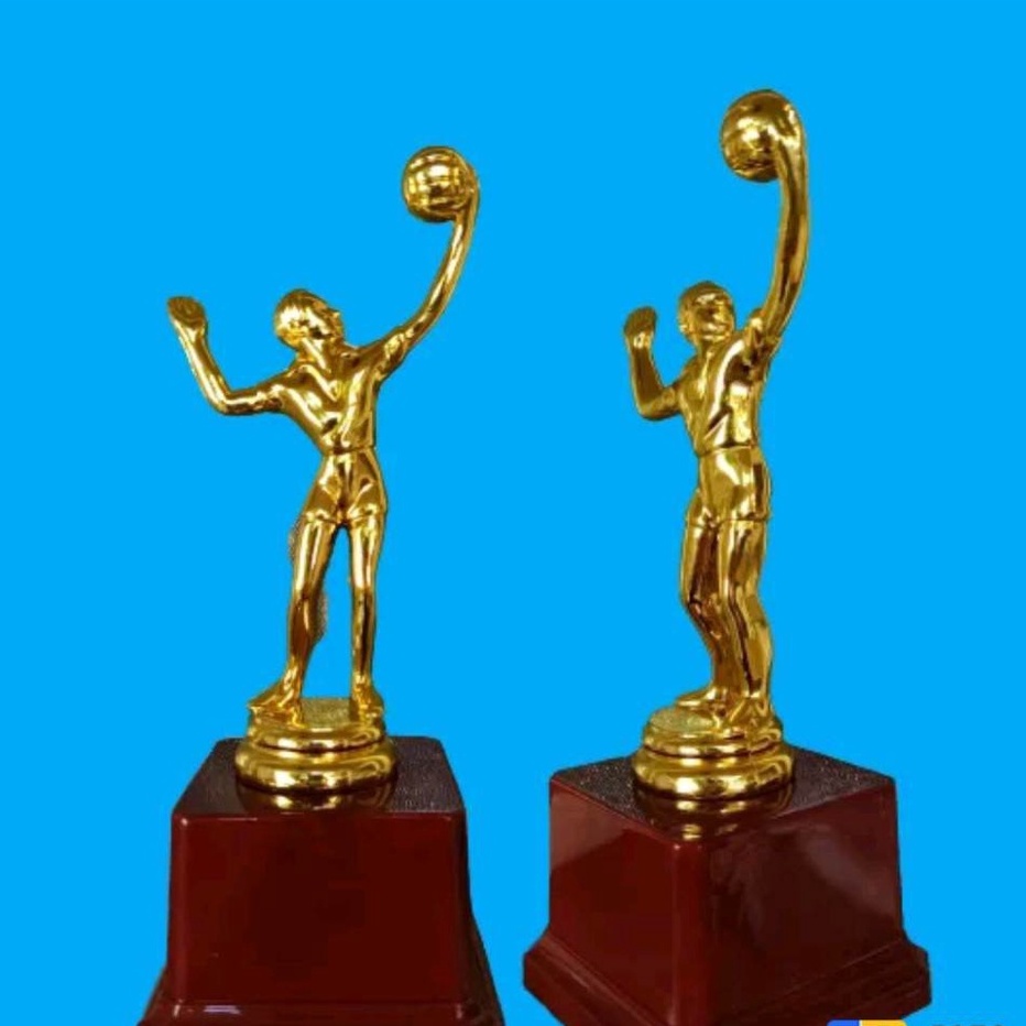 Volleyball Plastic MVP Trophy 19cm Gold Shopee Philippines