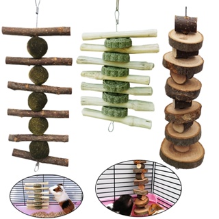ln stockNEW℗Pet Wooden Tooth Grinding Toys Hamster Rabbit Tree Branch Grass Ball Teeth Chewing Toys