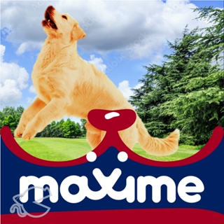 MAXIME ADULT DRY DOG FOOD/ 1KG