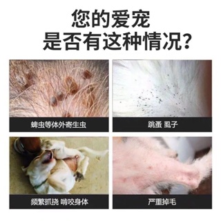 [Safety not afraid of licking] Flea medicine, dog deworming medicine, cat deworming medicine, lice #6