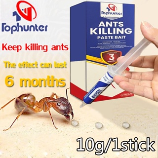 Ant bait/killer 10g bait killer gel ants powder killing repellent home pest control tra