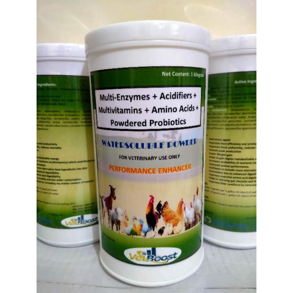 Multi Enzymes + Acidifier + Multivitamins Amino Acid plus Powdered