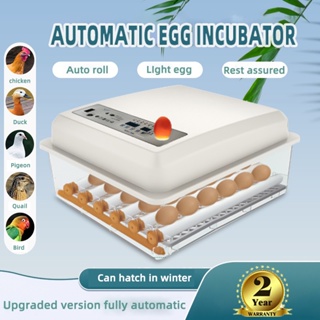 Multifunction Egg Incubator Fulli Automatic With Hatcher Constant Temperature Egg Incubator