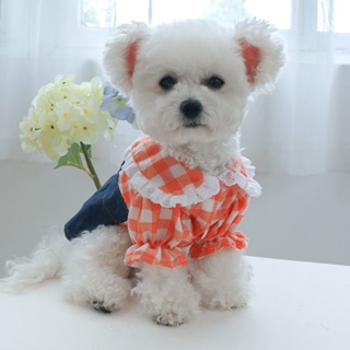 2022 New Style Dog Clothes Spring Autumn Winter Cat Teddy Bichon Pomeranian Small Puppies Pet Denim Lace Skirt