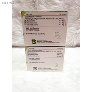 ☫Classic SMP 500 (sold per box / 12 pcs) Antibacterial