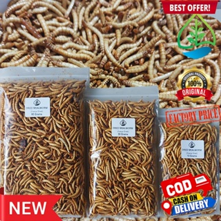 Dried Meal Worm ( Freeze-dried) for fish, birds, hamsters, reptiles