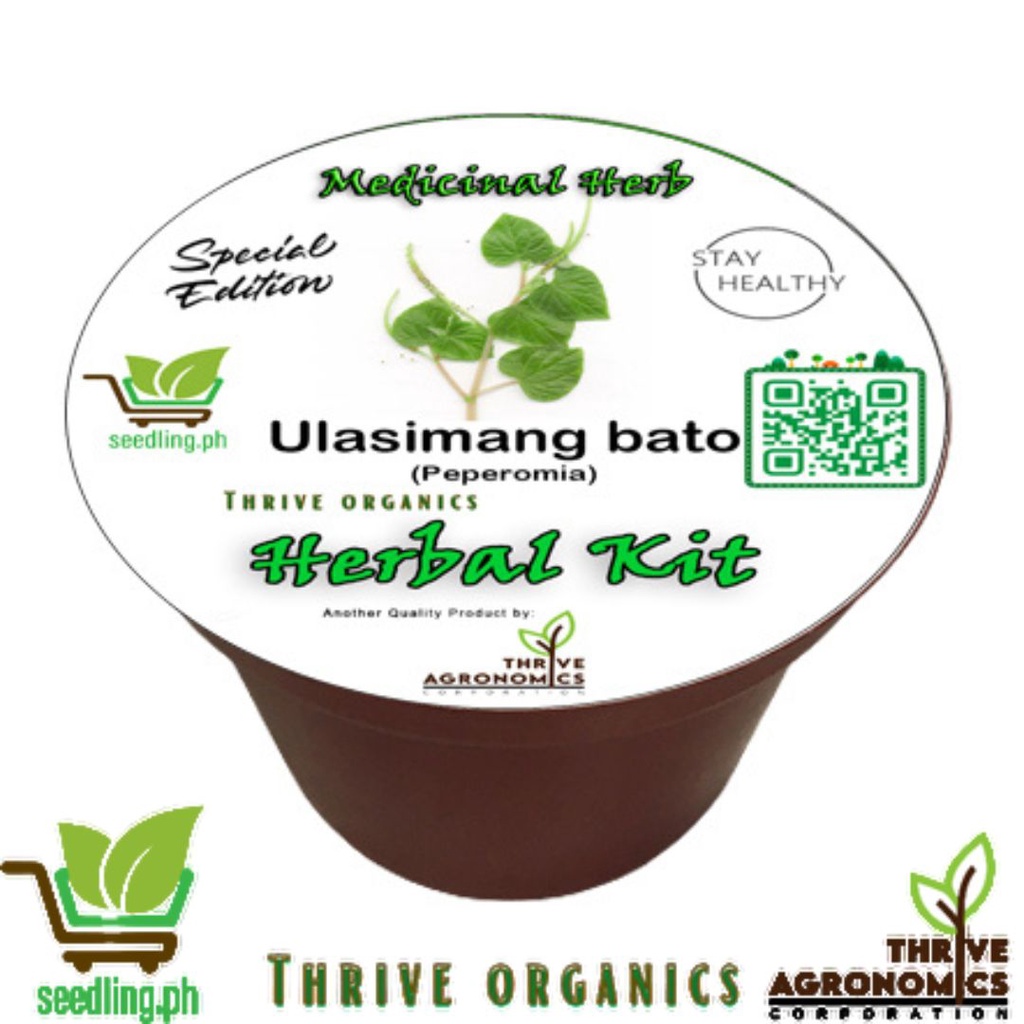 Ulasimang Bato Peperomia Herbal Kit Grow Kit Seedling Kit Starter Kit