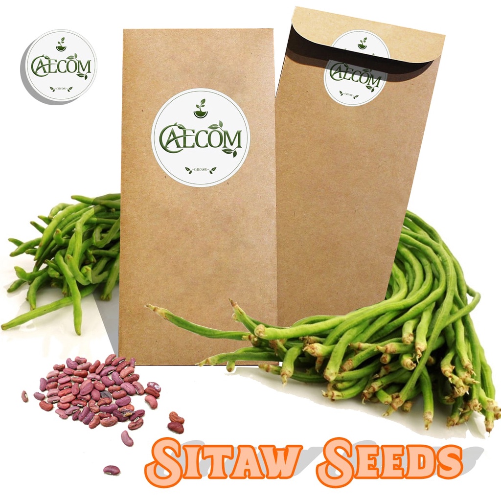 Sitao Haba String Brings Long Hybrid Variety Protein Vitamin A