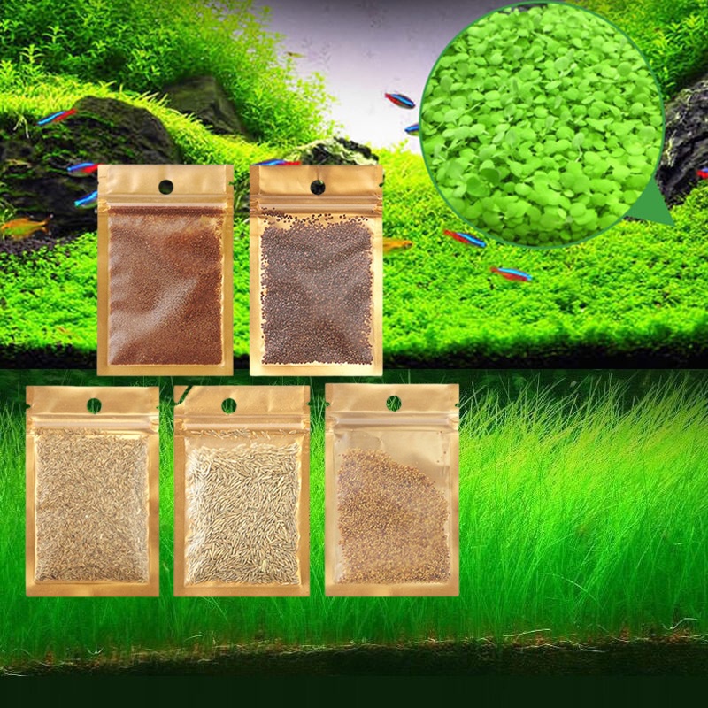 Aquarium Plants Aqua Soil Aquatic Plant Seeds Water Grass Seeds for