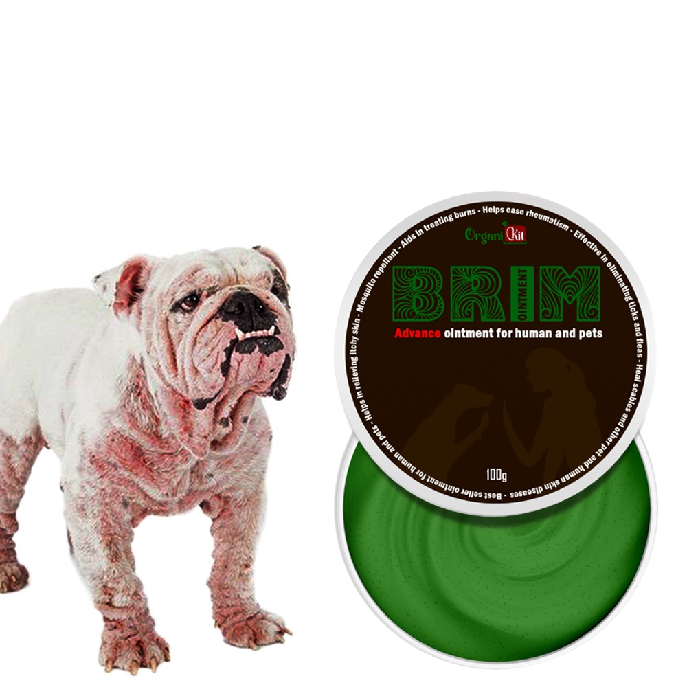 ORIGINAL BRIM ADVANCE OINTMENT / Insect bites ointment / Insect bites