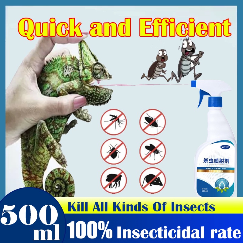 Insecticide Spray Cockroach Killer Insect Killer 500ML Safe and non ...