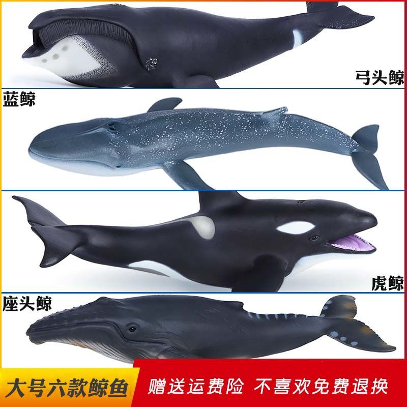 Children's educational toys simulation marine life whale toy animal