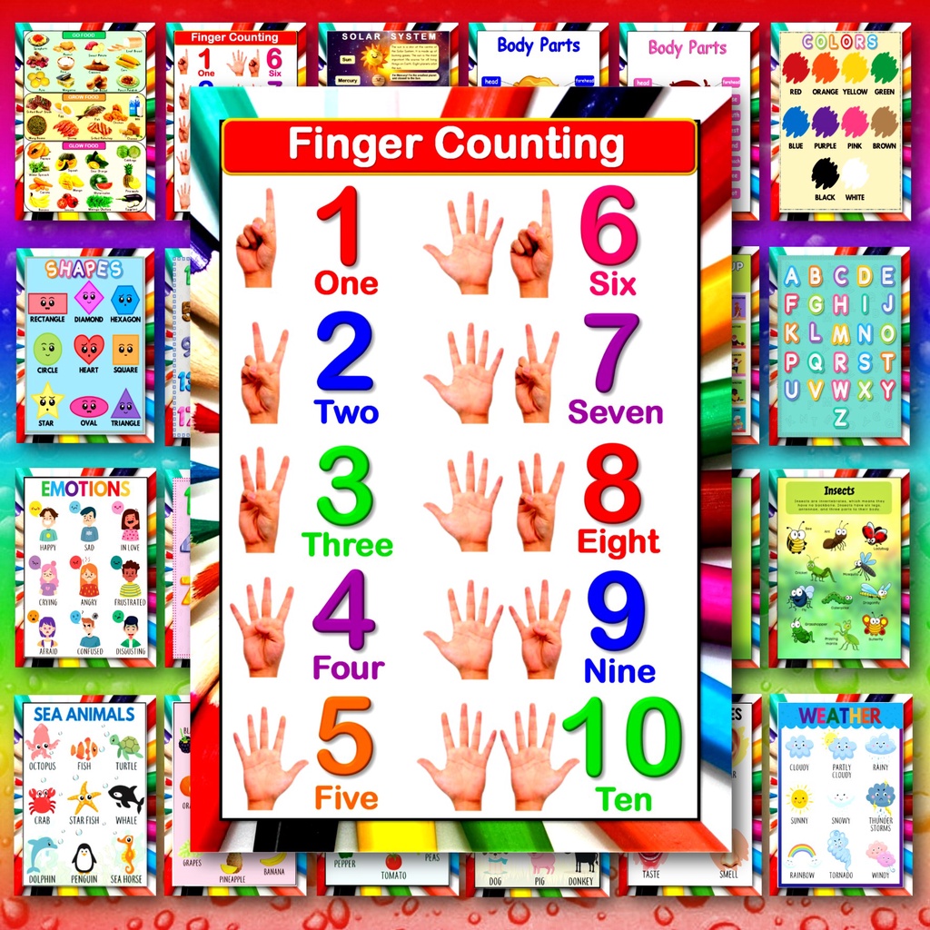 laminated educational wall chart for kids a4 size printed in photopaper ...