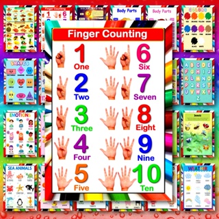laminated educational wall chart for kids  a4 size printed in photopaper and laminated