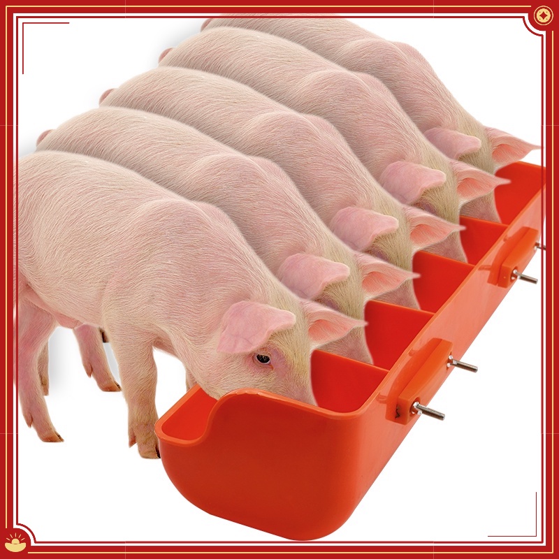Plastic Piglet Trough Automatic Feeding Five Grids Pig Sow Feeder