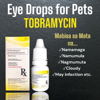 RAMTREX Tobramycin+Dexamethasone Eye Drops for Pets 5ml