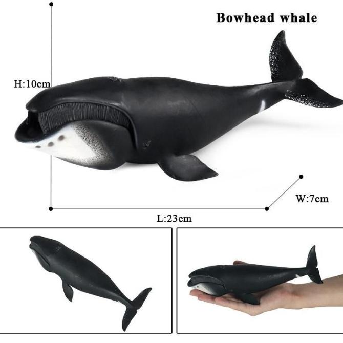 Jk Toy Whale Bowhead Whale | Shopee Philippines