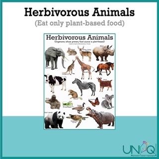 UNIQ Laminated Educational Wall Charts animals kids (Farm - Insect - Sea -  Wild) (High Quality) A4 | Shopee Philippines