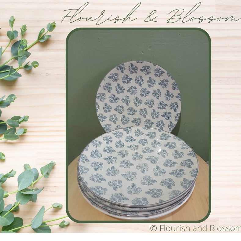 Ceramic Plates 6pcs 10" Diameter Brand New Microwavable, Dishwasher and