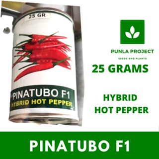 Pinatubo F1 Hybrid Hot Pepper 25grams - Condor