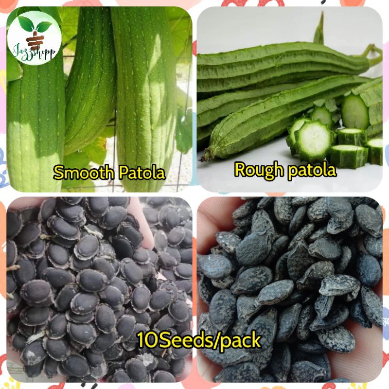 Patola Seeds For Planting Patola 2 Variety Shopee Philippines