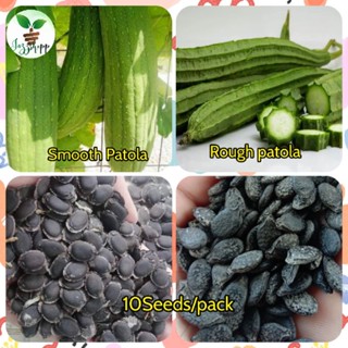 Patola Seeds For Planting Patola 2 Variety | Shopee Philippines