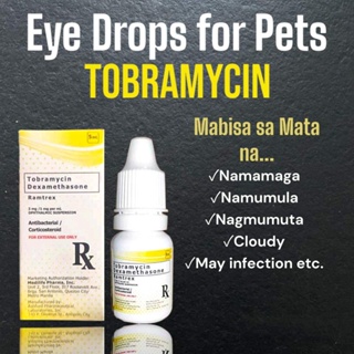 RAMTREX Tobramycin + Dexamethasone Eye Drops for Pets Dogs, Cats, Chicken Etc. 5ml