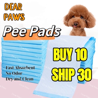Buy 10 Ship 30 Dog Pee Pads Pet Pads Training Pads Potty Pads