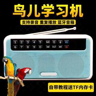 ✶┇✲Parrot learning machine Starlings learning to speak trainer bird use repeater to teach language a