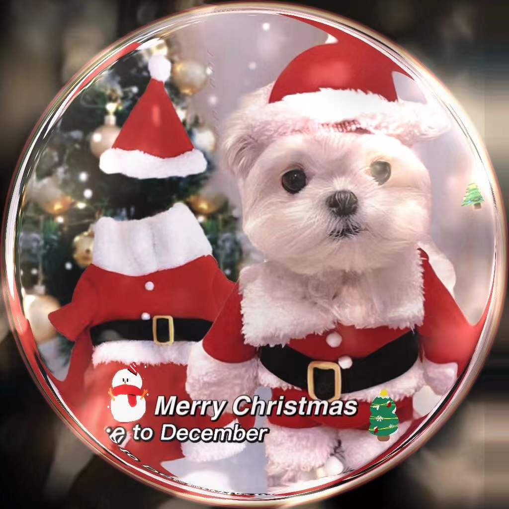 ️In Stock️ pet cat clothes Christmas Cat Costumes Funny Santa Claus Clothes For Small Cats Dogs Xmas New Year Pet Cat Clothing Kitty Kitten Outfits clothes for cat cat Christmas costume #9