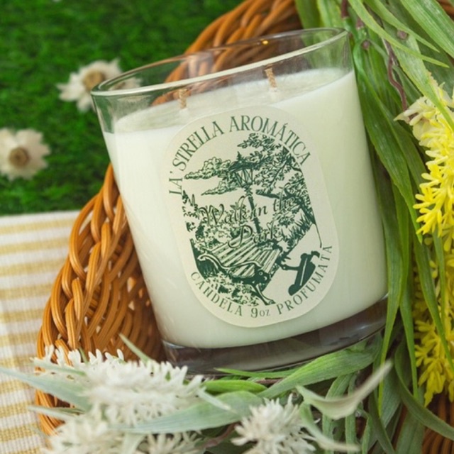 Walk in the Park scented candle Shopee Philippines