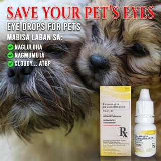 ❀RAMTREX Tobramycin + Dexamethasone Eye Drops for Pets Dogs Cats Birds Chickens Eye infection.